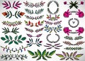 Colorful Big Floral Set of hand drawn dividers, laurel wreaths, leaves, flowers, branches isolated on white. Royalty Free Stock Photo