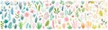 Floral elements big collection - leaves, plants, flowers. Cute hand drawn style