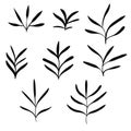 Big set of black hand drawn thin line cute doodle floral icons, flowers, plants. Royalty Free Stock Photo