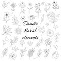 Floral elements doodle set. Flower graphic design. Herbs, berries and wild flowers Royalty Free Stock Photo