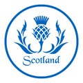 Floral emblem of Scotland, the thistle