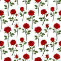 Floral english victorian seamless background. Garden rose pattern