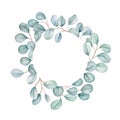 Floral eucalyptus round frame. Silvery green leaves clipart isolated on white. Watercolor illustration for your design