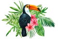 floral exotic illustration with bird, tropical leaves, plumeria flowers. Toucan watercolor Isolated on white background Royalty Free Stock Photo