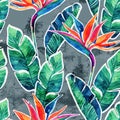 Floral exotic seamless pattern. Watercolor tropical flowers on doodle background Royalty Free Stock Photo