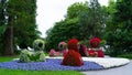 Floral figures of ducks on the island of Mainau in Germany.