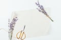Floral flat lay composition, organic lavender flowers, twine and scissors