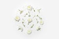 Floral flat lay creative concept, white flowers and petals lying down on white background