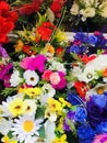 Display of mixed spring flowers