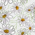 Floral flower background with daises chamomiles. Vector