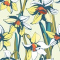 Floral flower narcissus seamless hand drawn pattern.Colored ink Royalty Free Stock Photo