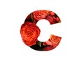 Floral font letter C from a real red-orange roses for bright design. Stylish font of flowers for conceptual ideas