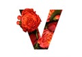 Floral font letter V from a real red-orange roses for bright design. Stylish font of flowers for conceptual ideas