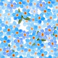 Floral Forget-me-not flower seamless pattern, watercolor illustration