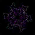 Floral fractal pattern