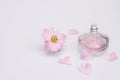 Floral fragrance in a bottle of women`s perfume Royalty Free Stock Photo