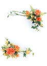 Floral Frame-10 Royalty Free Stock Photo