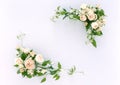 Floral Frame-11 Royalty Free Stock Photo