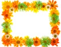 Floral frame