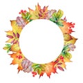 Floral frame with autumn leaves and berries Royalty Free Stock Photo