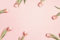 Floral frame background with tulips flowers and copy space on pink pastel background. Flat lay, top view Royalty Free Stock Photo