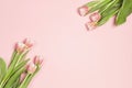Floral frame background with tulips flowers and copy space on pink pastel background. Flat lay, top view Royalty Free Stock Photo