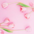 Floral frame background with tulips flowers on pink pastel background. Flat lay, top view. Spring time background. Royalty Free Stock Photo