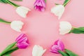 Floral frame background with white and pink tulips on pastel background. Flat lay, top view. Woman day background. Royalty Free Stock Photo