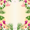 Floral frame background witht ropical flowers floral arrangement, with beautiful yellow orchid palm,philodendron and Brugmansia Royalty Free Stock Photo