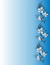 Floral frame on blue background Royalty Free Stock Photo