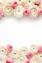 Floral frame borders made of pink ranunculus and roses flower buds on white background. Flat lay, top view floral
