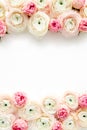 Floral frame borders made of pink ranunculus and roses flower buds on white background. Flat lay, top view floral Royalty Free Stock Photo