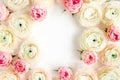 Floral frame borders made of pink ranunculus and roses flower buds on white background. Flat lay, top view floral Royalty Free Stock Photo