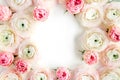 Floral frame borders made of pink ranunculus and roses flower buds on white background. Flat lay, top view floral Royalty Free Stock Photo