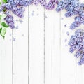 Floral frame composition with lilac flowers branches on white background. Flat lay, top view.