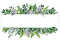 Floral frame. Elegant green watercolor frame made of eucaliptus, hedera, buxus and monstera leaves. Hand drawn elegant border, rea