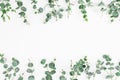 Floral frame of eucalyptus leaves isolated on white background. Flat lay, top view Royalty Free Stock Photo