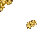 Floral frame. Golden lily border.