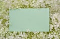 Floral frame with green blank card on the background of white flowers. Royalty Free Stock Photo