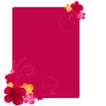 Floral frame with hibiscus flowers Royalty Free Stock Photo