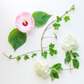 Floral frame with ivy, hibiscus and hydrangea flowers. Top view Royalty Free Stock Photo