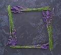 Floral frame of lavender on a black background.