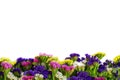 Floral frame made of flowers with copy space. Lot of flowers of multicolored wavyleaf sea lavender Royalty Free Stock Photo
