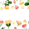 Floral frame made of orange roses flowers and rose petals on white background. Valentines day. Flat lay, top view Royalty Free Stock Photo