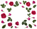Floral frame made of pink rose flowers, buds and leaves isolated on white background. Flat lay.