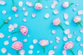 Floral frame made of pink roses buds and petals on blue background. Flat lay, Top view. Spring time composition Royalty Free Stock Photo