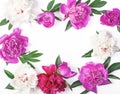 Floral frame made of pink and white peony flowers and leaves isolated on white background. Flat lay Royalty Free Stock Photo