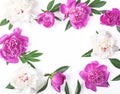 Floral frame made of pink and white peony flowers and leaves isolated on white background. Flat lay. Royalty Free Stock Photo