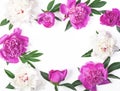 Floral frame made of pink and white peony flowers and leaves isolated on white background. Flat lay. Royalty Free Stock Photo