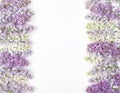 Floral frame made of spring lilac flowers isolated on white background. Top view with copy space. Royalty Free Stock Photo